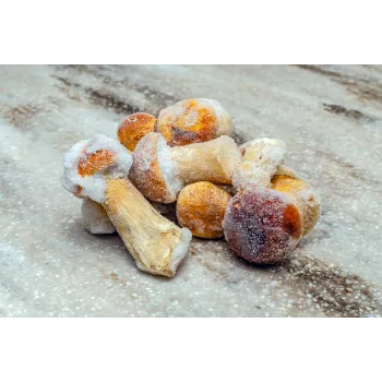 Frozen Mushroom
